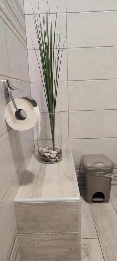 Apartment Damir Pula Ngoại thất bức ảnh